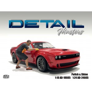 AD-24605 1:24 Detail Masters - 5 (Polish & Shine)